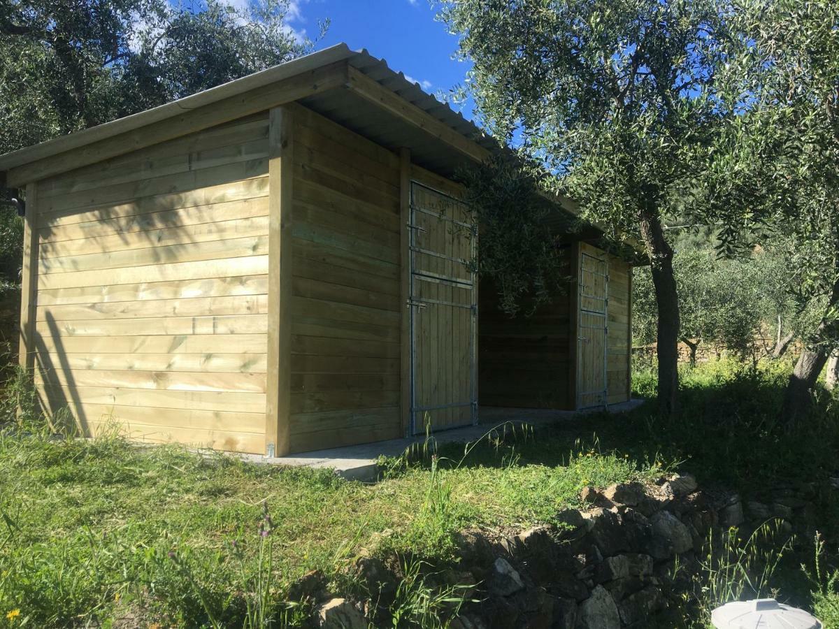 Agriturismo Oltrealmare Civezza Eksteriør billede