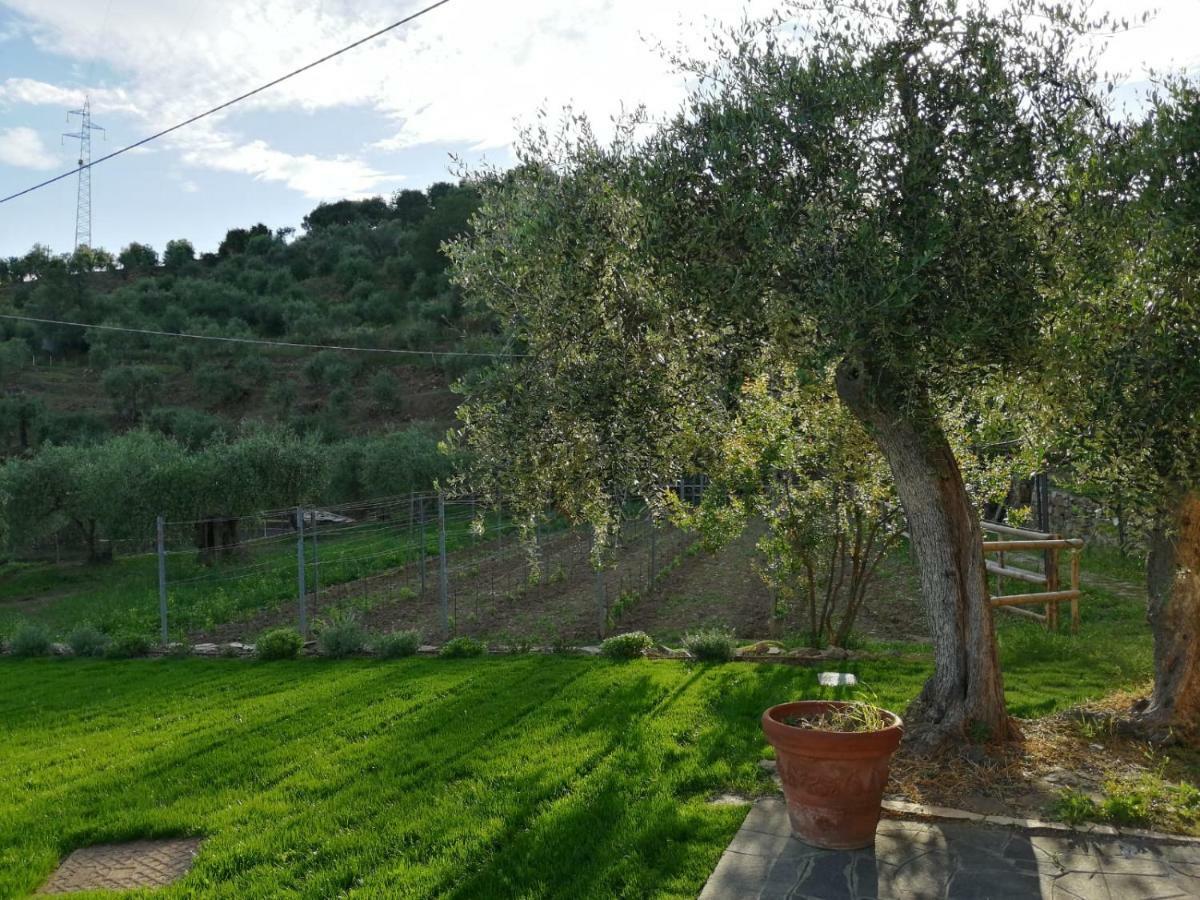 Agriturismo Oltrealmare Civezza Eksteriør billede